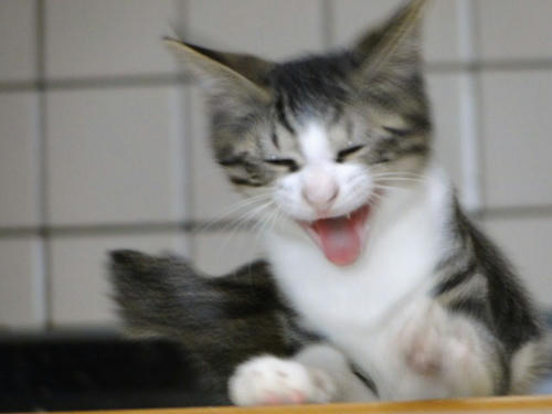 ふわぁ～～～