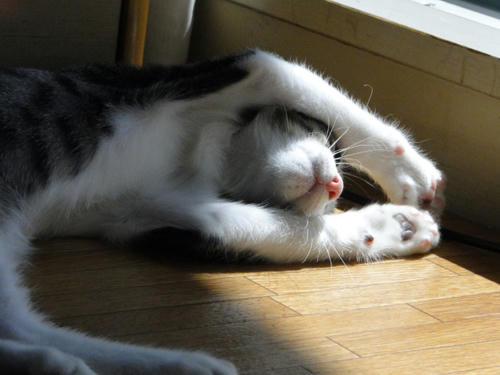 じゃ、投げて♪