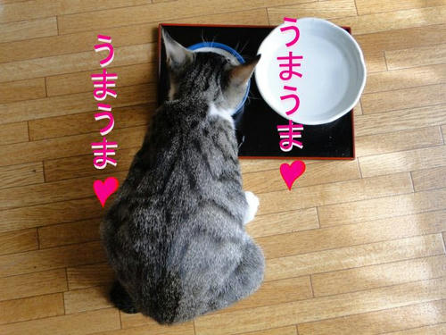 うまうま