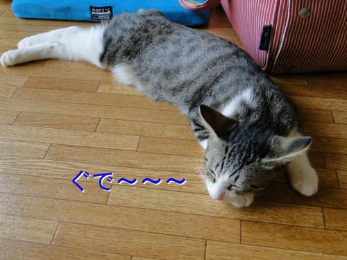 ぐて～