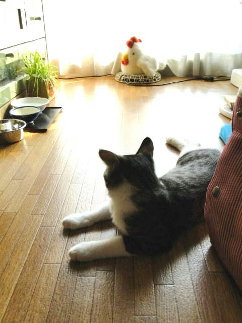 遠っ！