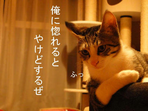 俺に