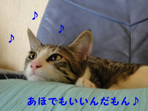 あほでもいいんだもん♪