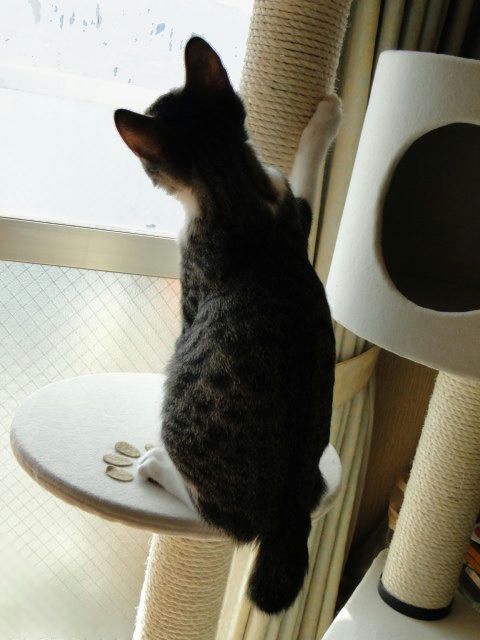 怖いけど気になる
