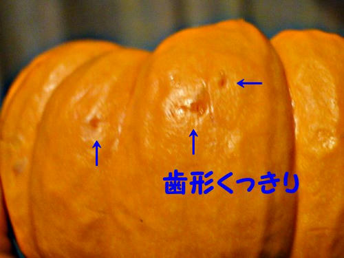 歯形くっきり