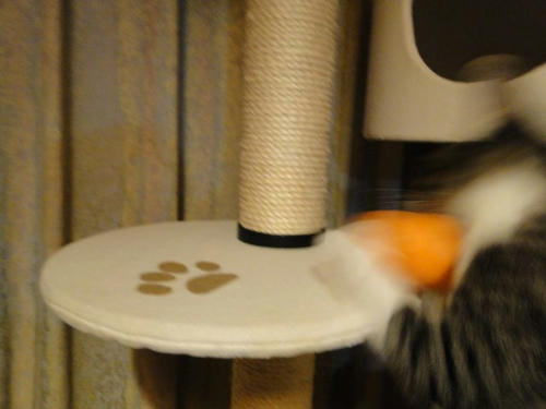 ずずず・・・