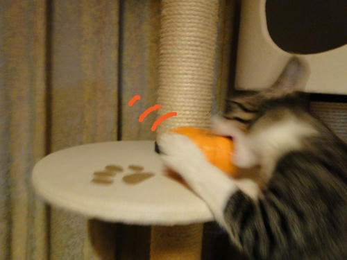 ずずず・・・