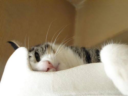 面白いことないの？