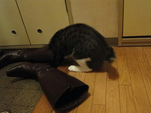 もぞもぞ