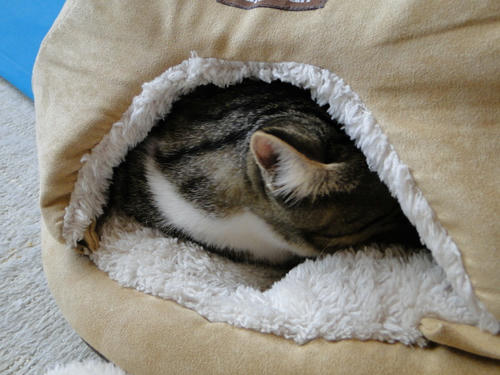 Zzzzz