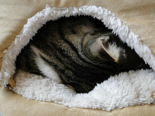 Zzzz