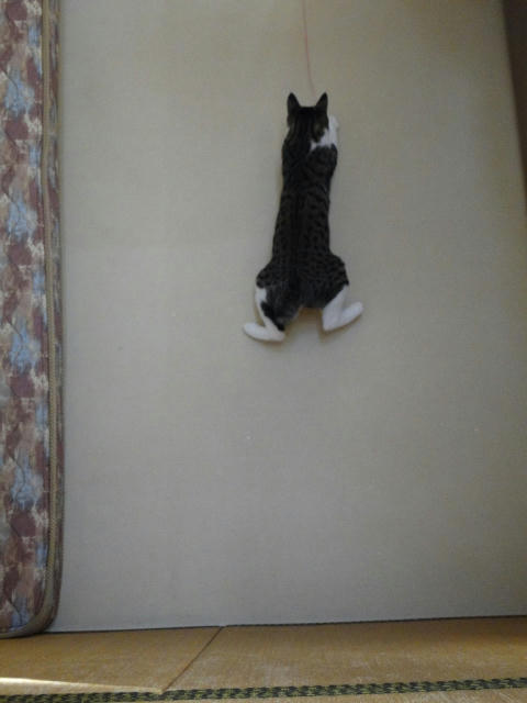 カエル跳び１