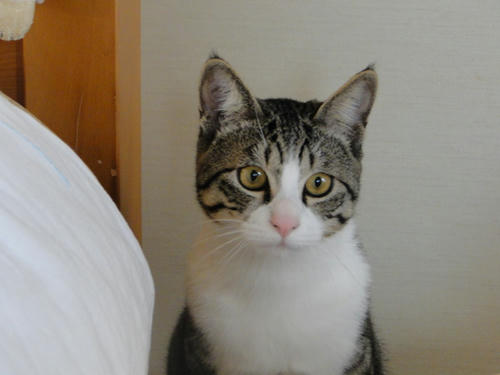じー・・・
