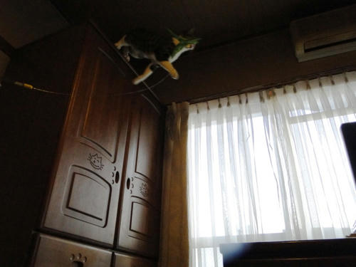 ジャンプ