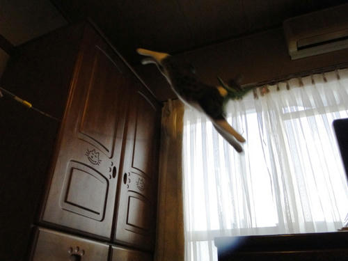 ジャンプ