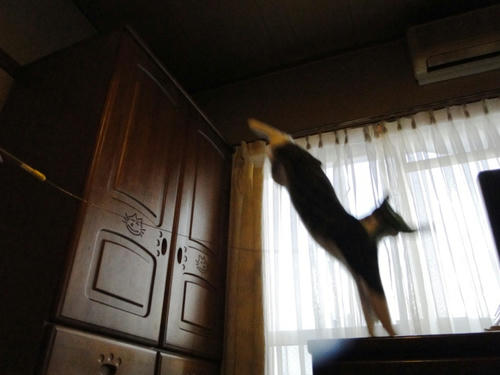 ジャンプ