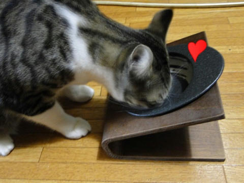 正しい使い方