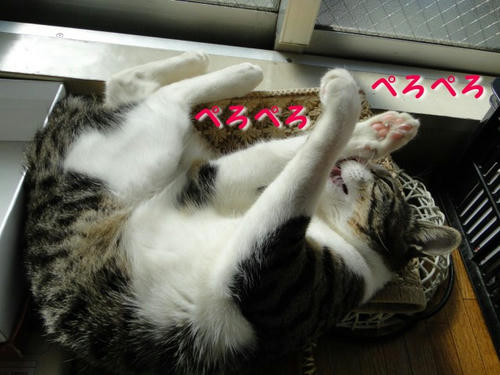 ペロペロ…