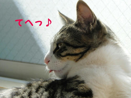 てへっ♪