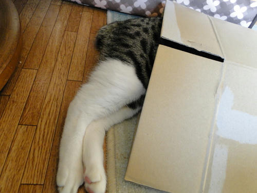 あしだらり