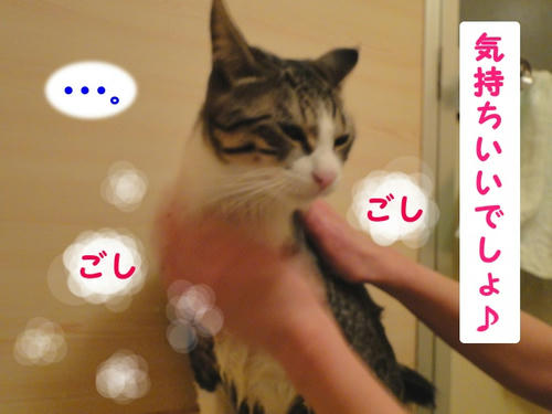 ・・・