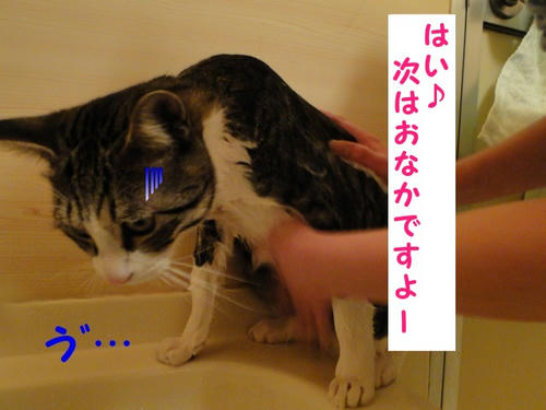 そ、そこは…（汗）