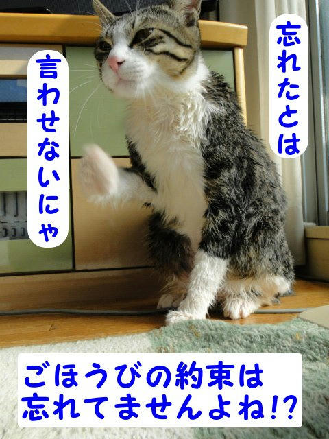 ご褒美、忘れてませんよね？