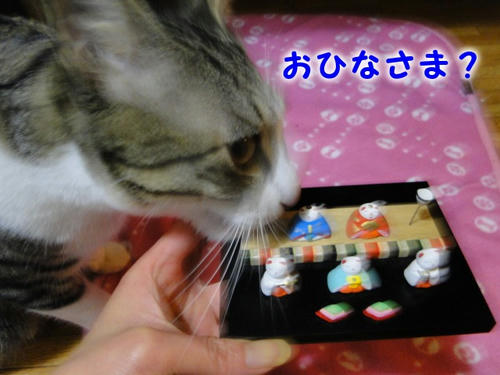 おひなさま？？