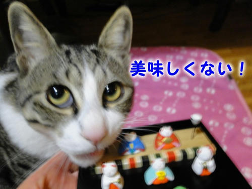 おいしくない！