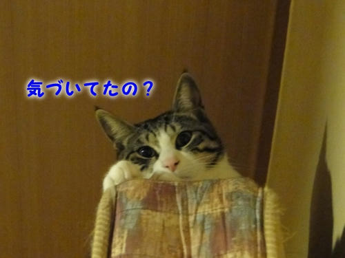 気付いてたの？