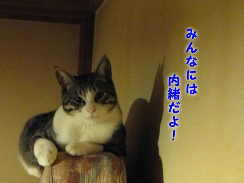 みんなには内緒にして！