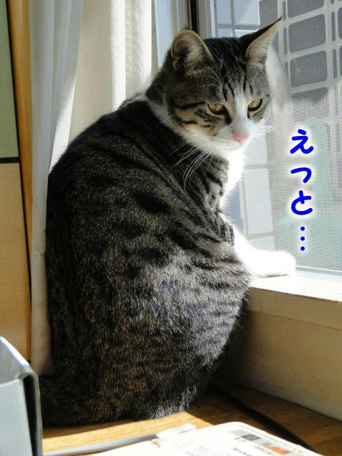 えっとー