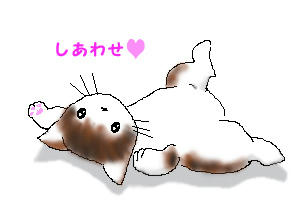 だいちゃんの開き