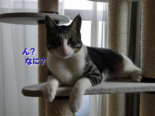 ん？なに？