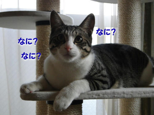 なになに？