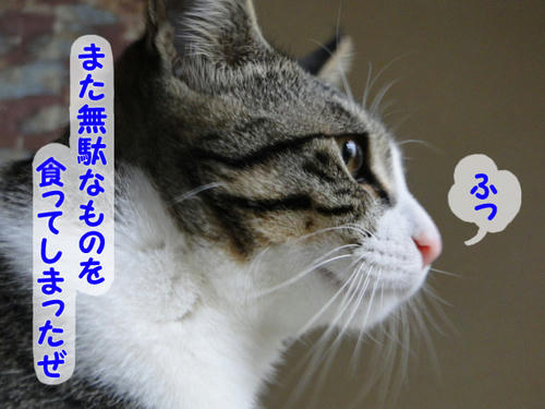 また無駄なものを・・・