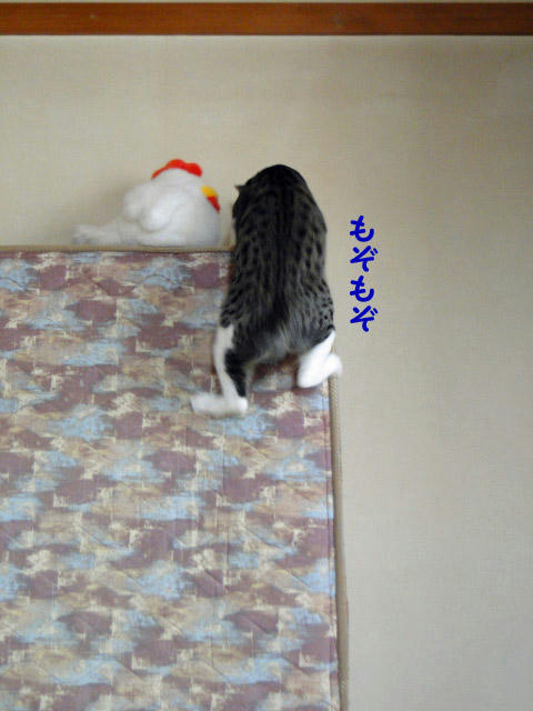 もぞもぞ