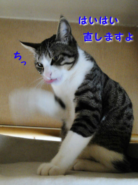 ちぇっ。今、直しますよ。