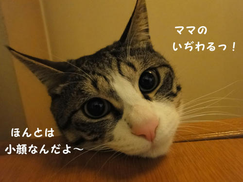 ホントは小顔だもん