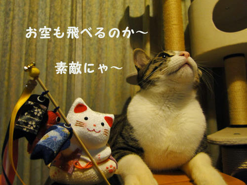 龍になって空を飛ぶのか～