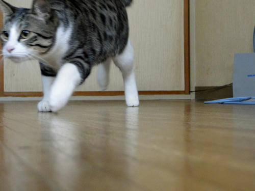 次、お願いします♪