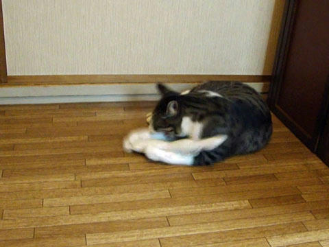 けりぐるみ２