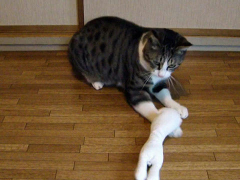 けりぐるみ４