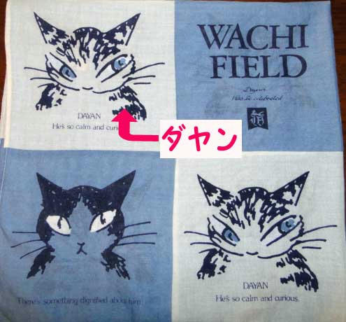 わちふぃーるど