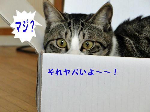 ホントに知らないの？