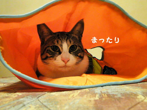 まったり
