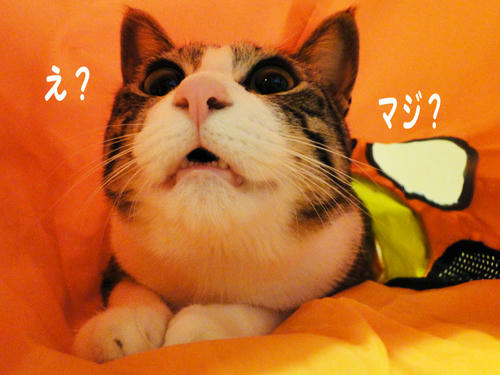 え？ハナクソ？