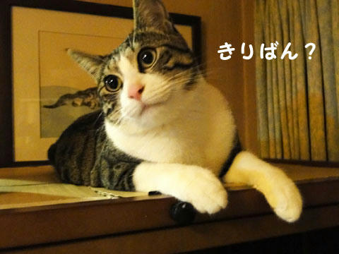 きりばん？