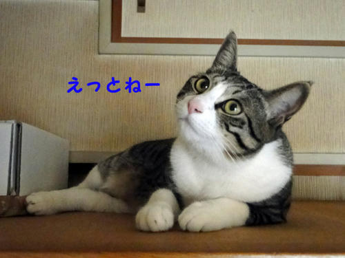 えっとねー