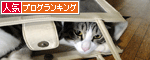 人気ブログランキング（猫ブログ）へ